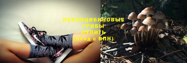гидропоника Белокуриха