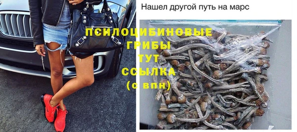 гидропоника Белокуриха