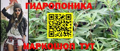 jwh Шахты