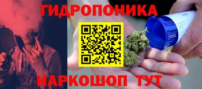 спайс Шелехов