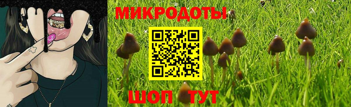 Галлюциногенные грибы GOLDEN TEACHER Пятигорск